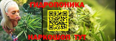гашик Ликино-Дулёво