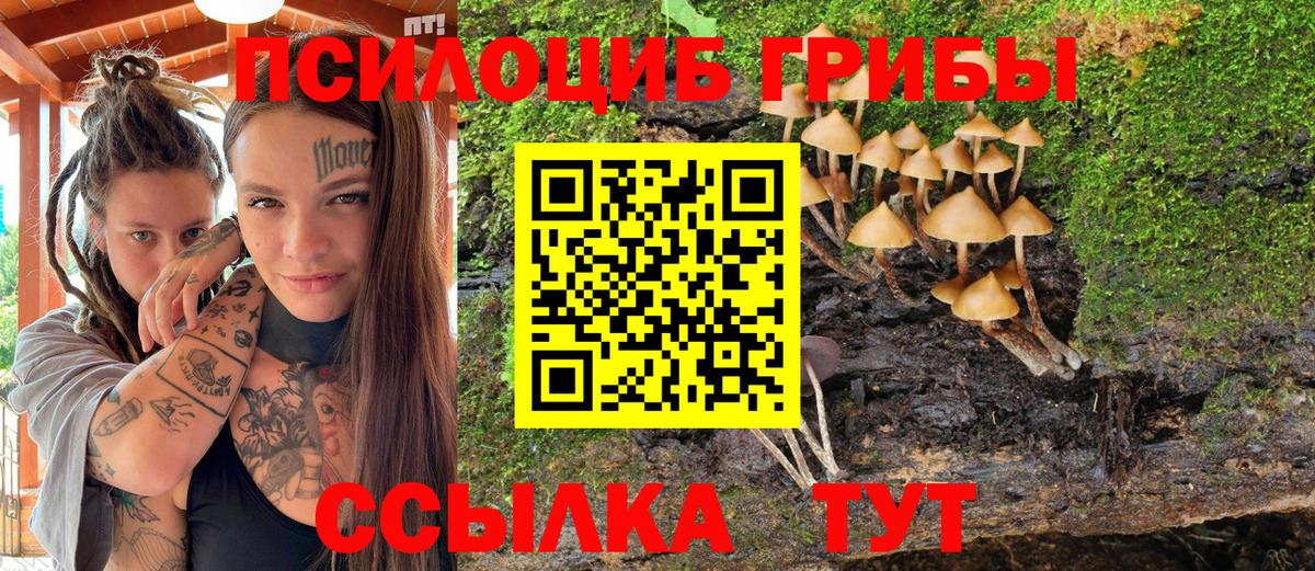 Галлюциногенные грибы ЛСД Югорск