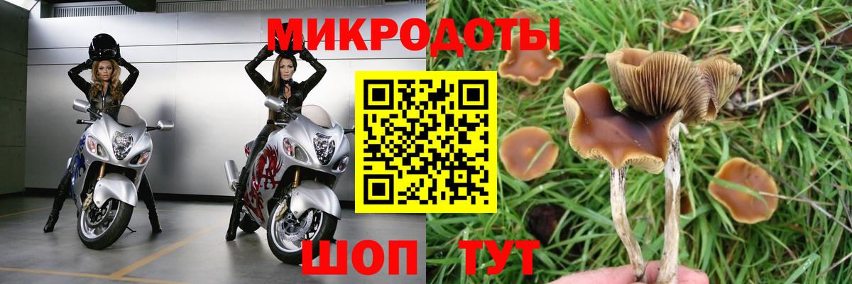 Псилоцибиновые грибы мухоморы  Вход с VPN  Югорск 